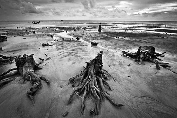 যখন তুমি চলে গেলে